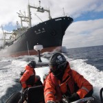 Sea Shepherd activists confronting the Japanese whaling fleet, Winter 2009