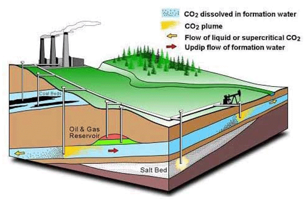 Diagram of how Carbon Capture and Storage (CCS) works. Image courtesy Pembina Institute and Alberta Geological Survey.