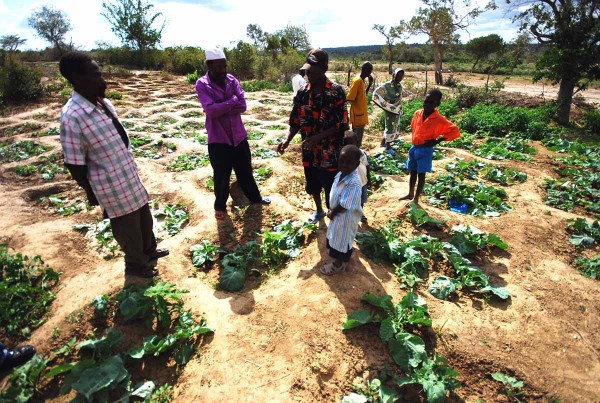 Using her newly learned farming techniques, Mama Agnes' garden needs watering just once a week, instead of twice a day. Photo by Siena Anstis.