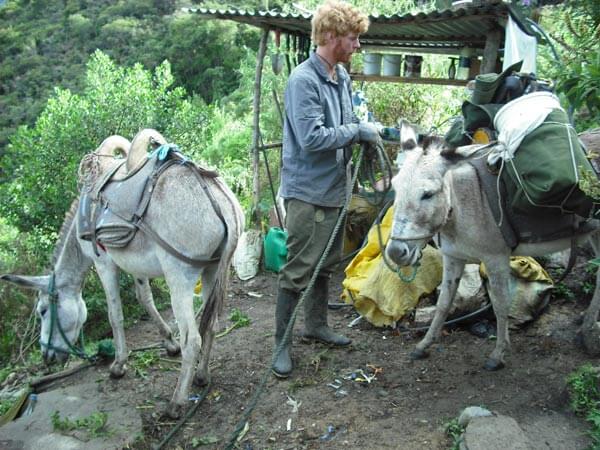 Yves Zehnder with Sacred Sueños' two donkeys, Bonne and Posito. Photo by Jenn Hardy.