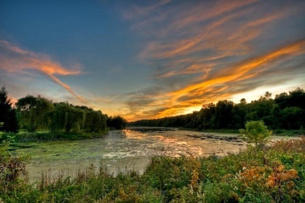Ottawa's South March Highlands at sunset. Photo courtesy Ottawa's Great Forest.