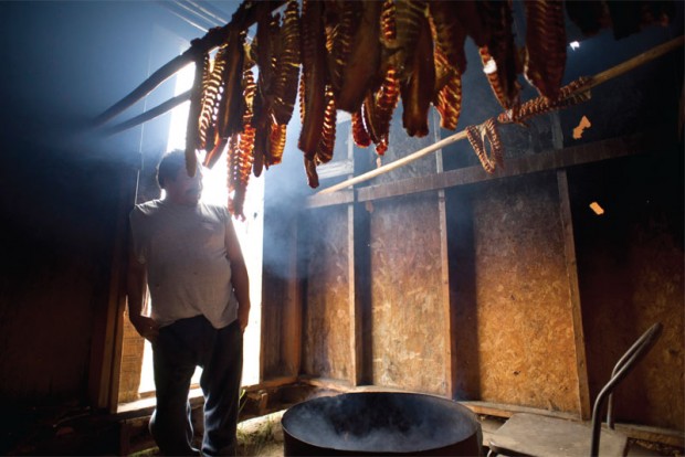 Lake Athabasca fish being smoked. Lake Athabasca fish being smoked.