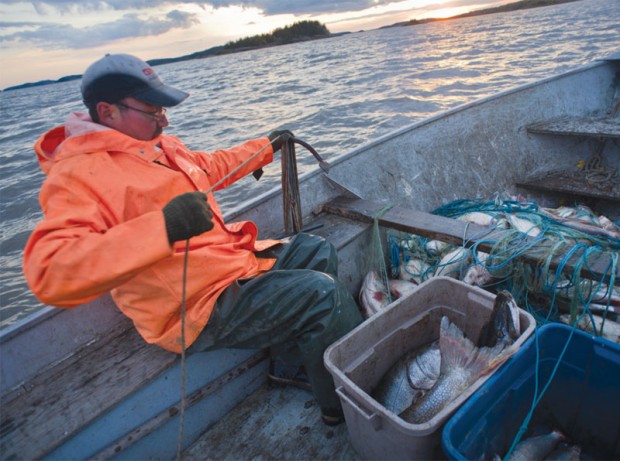 Other than working in the oil sands, commercial fishing is one of the last ways to make a living in Fort Chipewyan. Other than working in the oil sands, commercial fishing is one of the last ways to make a living in Fort Chipewyan.