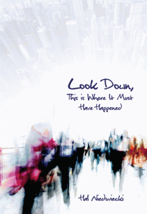 Cover of Look Down, This is Where It Must Have Happened
