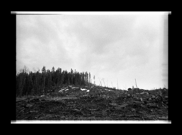 Forest near Grassy Narrows First Nation adjacent to a clear cut site. Photo by Jon Schledewitz. Forest near Grassy Narrows First Nation adjacent to a clear cut site. Photo by Jon Schledewitz.