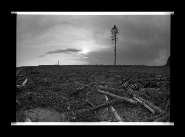 Remnants of a clear cut logging operation near Grassy Narrows, Ontario. Photo by Jon Schledewitz. Remnants of a clear cut logging operation near Grassy Narrows, Ontario. Photo by Jon Schledewitz.