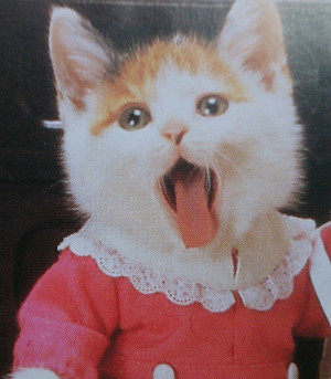 My selfie inspiration comes from my lifelong favourite book Busy Day with the Perlorian cats.