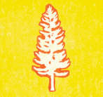 Screen Shot 2017-01-25 at 11.37.59 AM