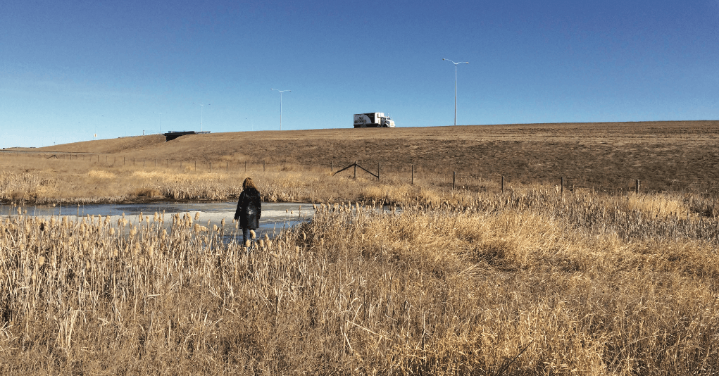 Screen Shot 2017-09-06 at 10.11.50 AM