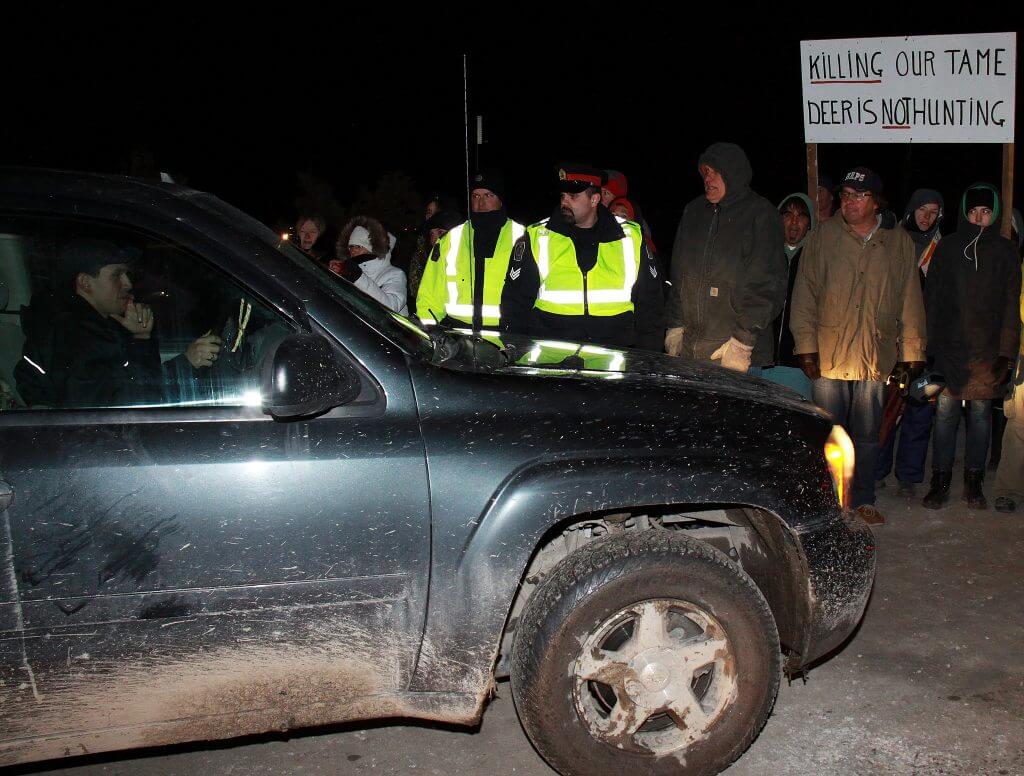 11019542515_570351b4ed_k