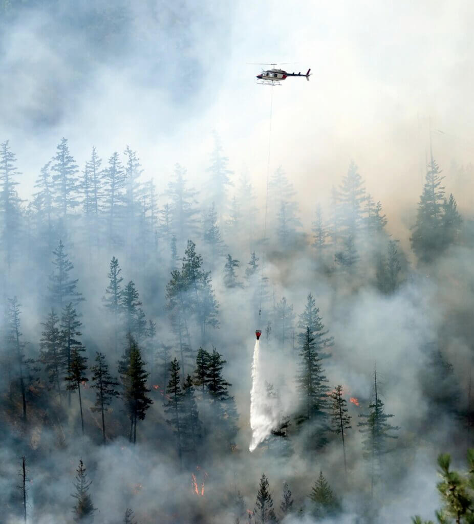 Thick smoke obscures a thatch of trees as a helicopter flies overhead